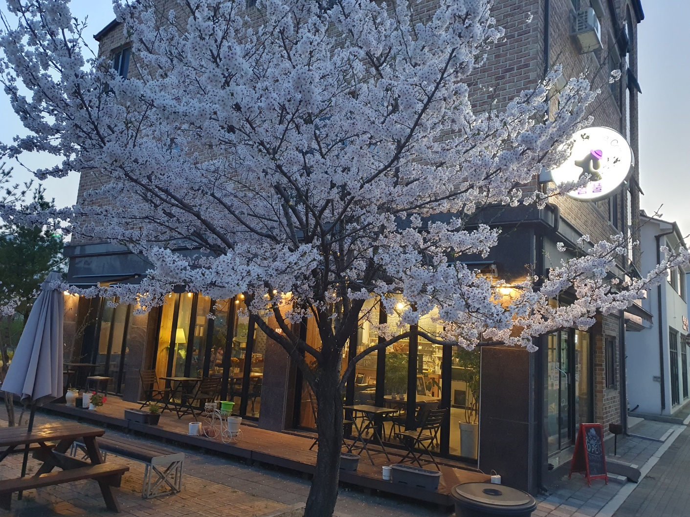 충북 제천시 영어회화추천업체 영어회화학원 생활영어 비즈니스영어 영어발음 쉼풀