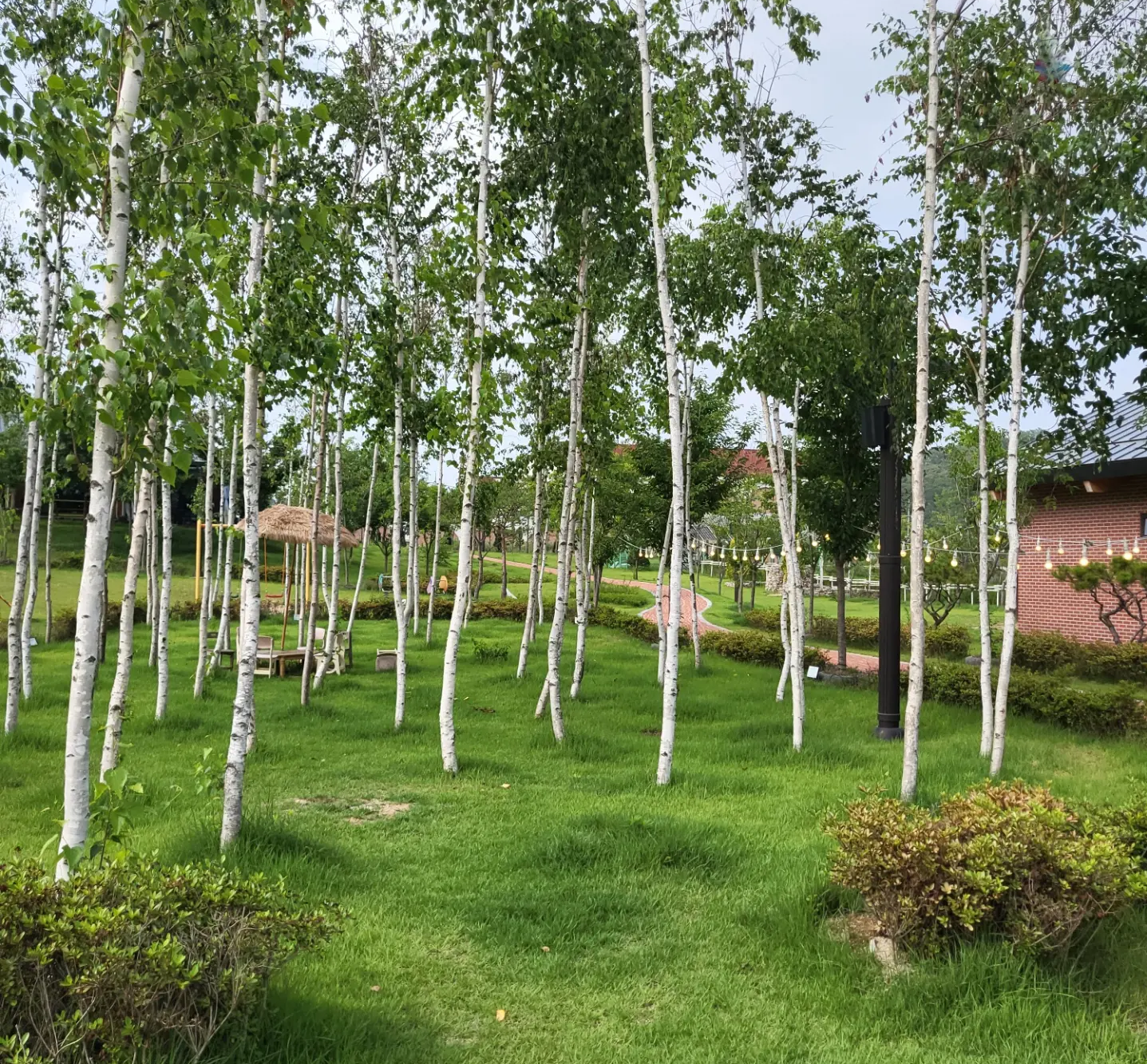 팜바라기 cafe 대표 이미지