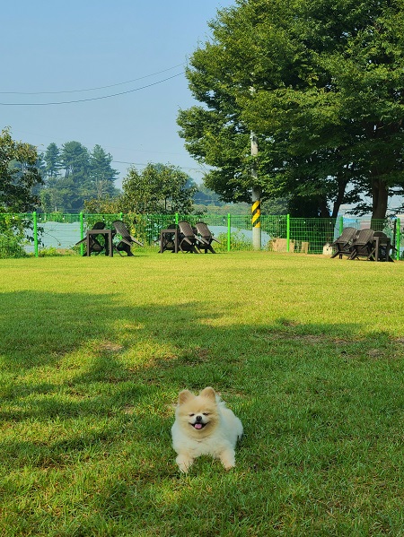 개인카페