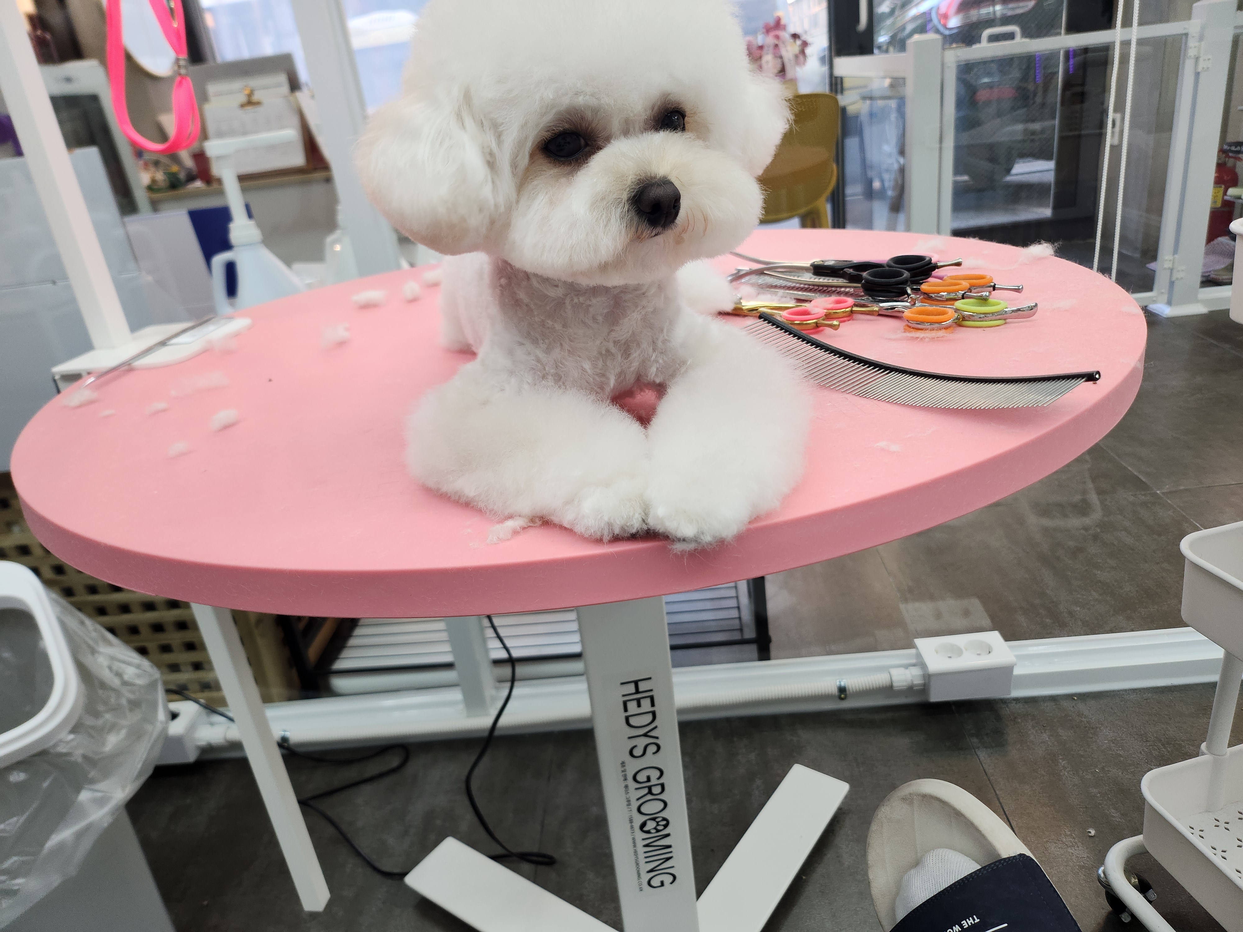 개린이하우스 대표 이미지