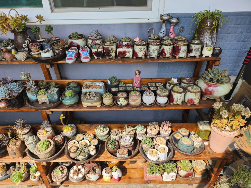 수목담 photo 9
