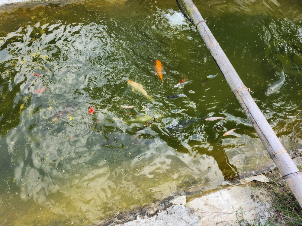 수목담 photo 5