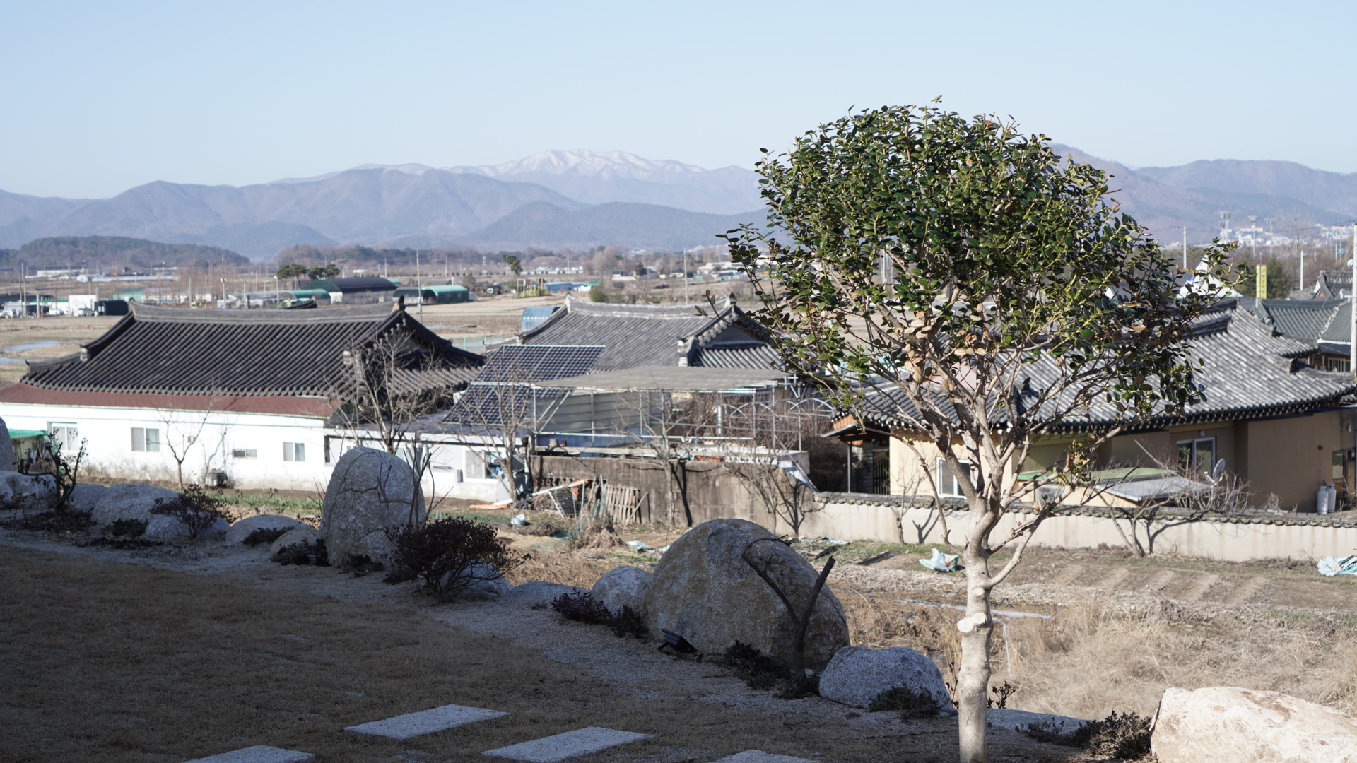 센트레