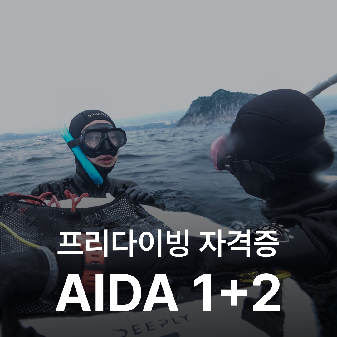 난바다 프리다이빙