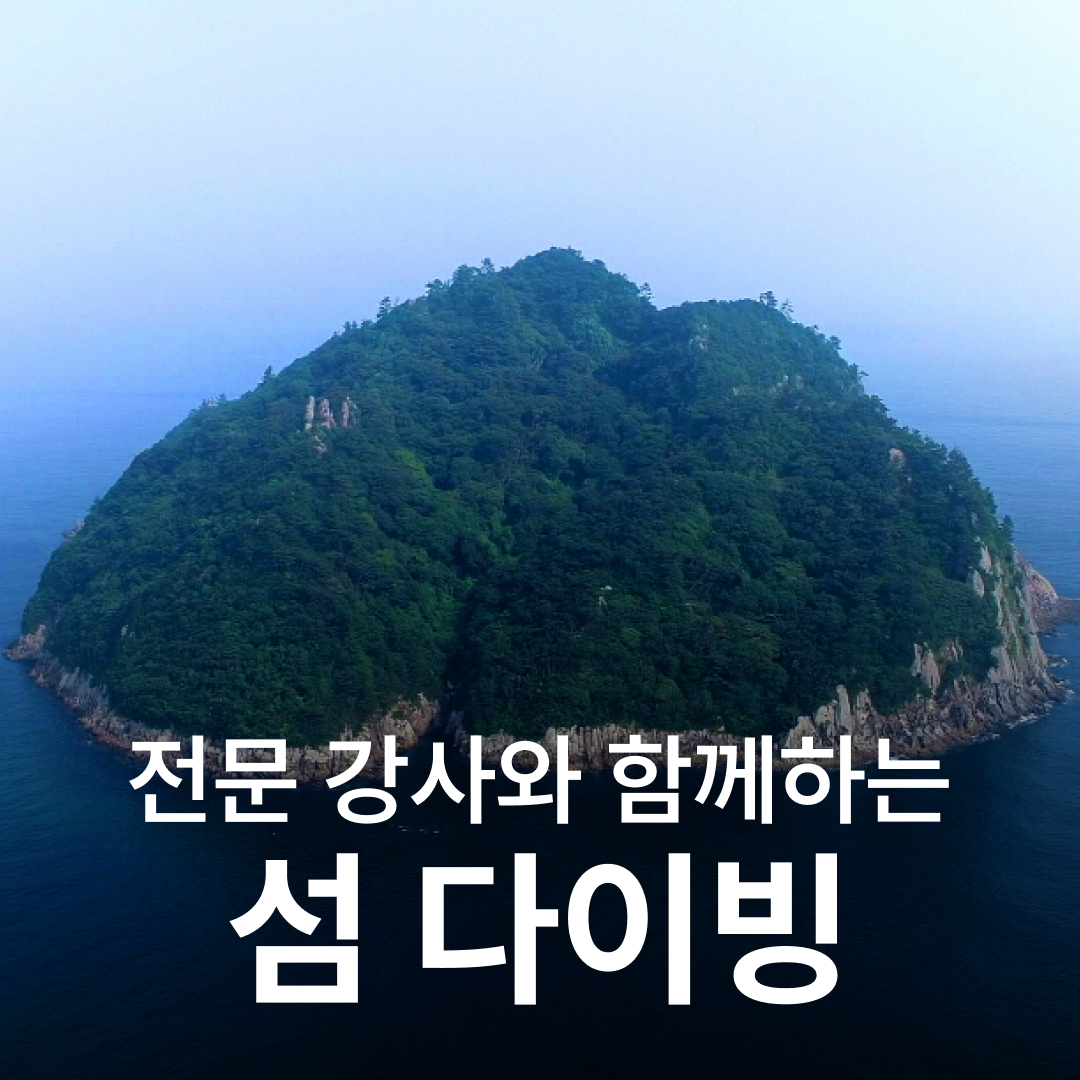 난바다 프리다이빙