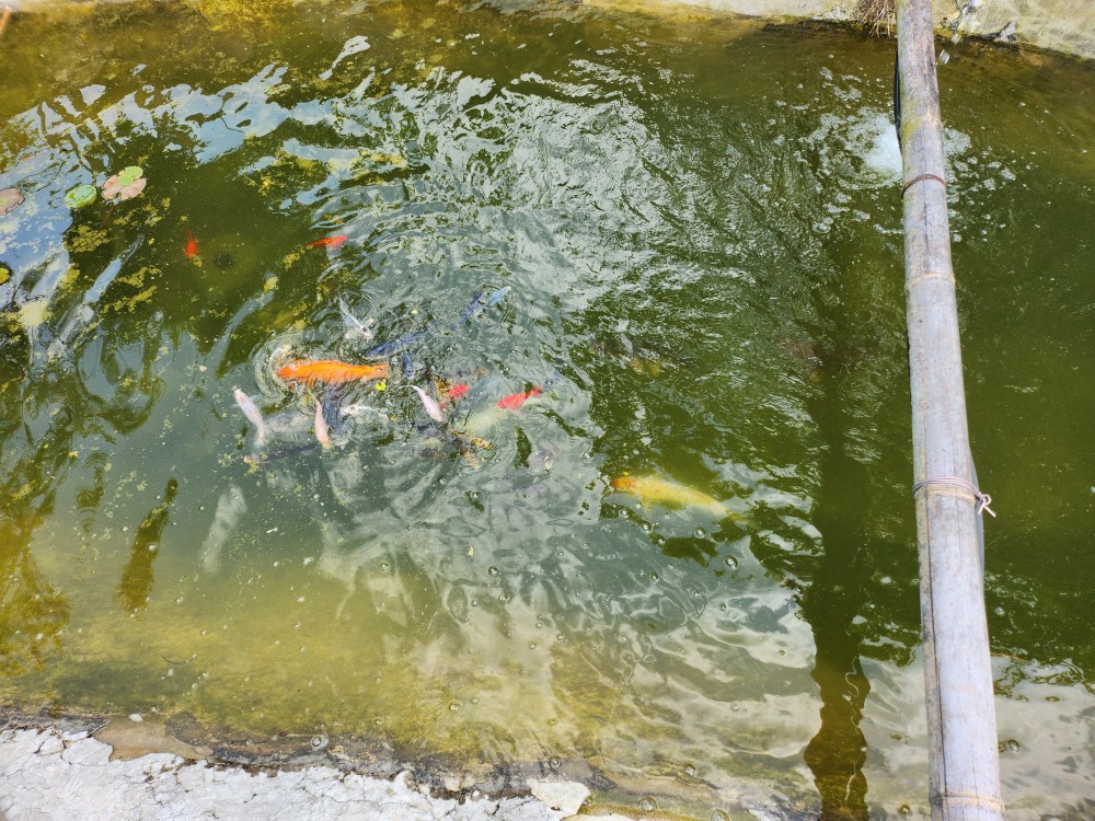 수목담 photo 2