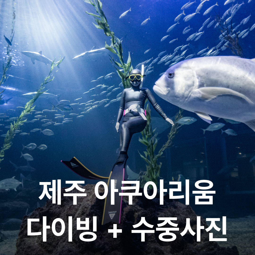 난바다 프리다이빙