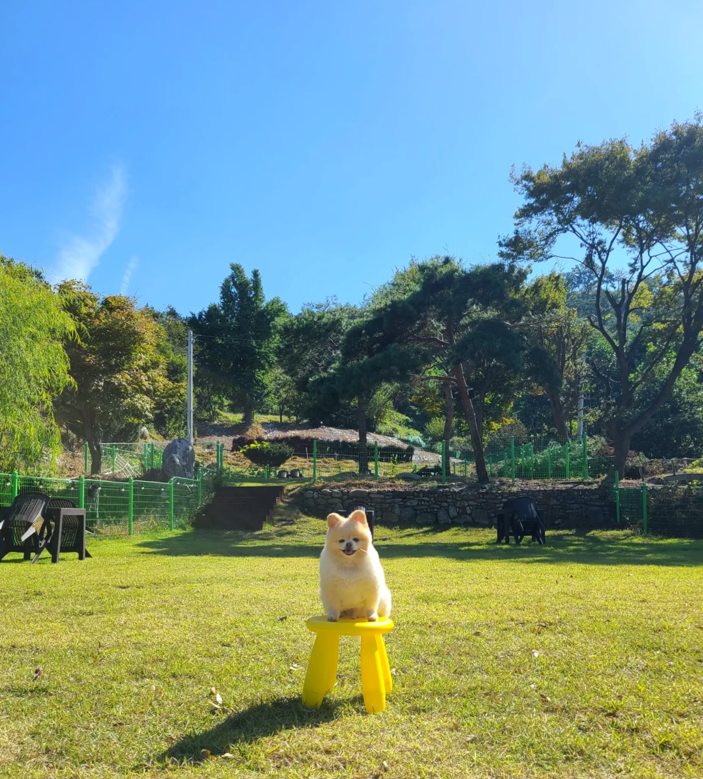 개인카페