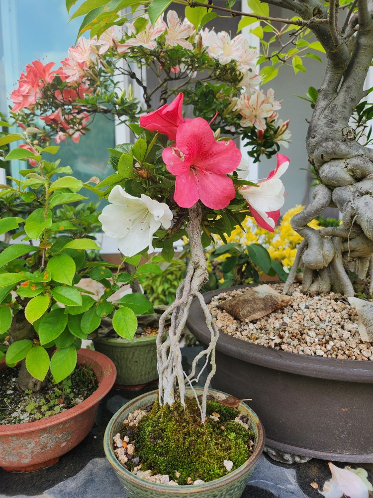 수목담 photo 6
