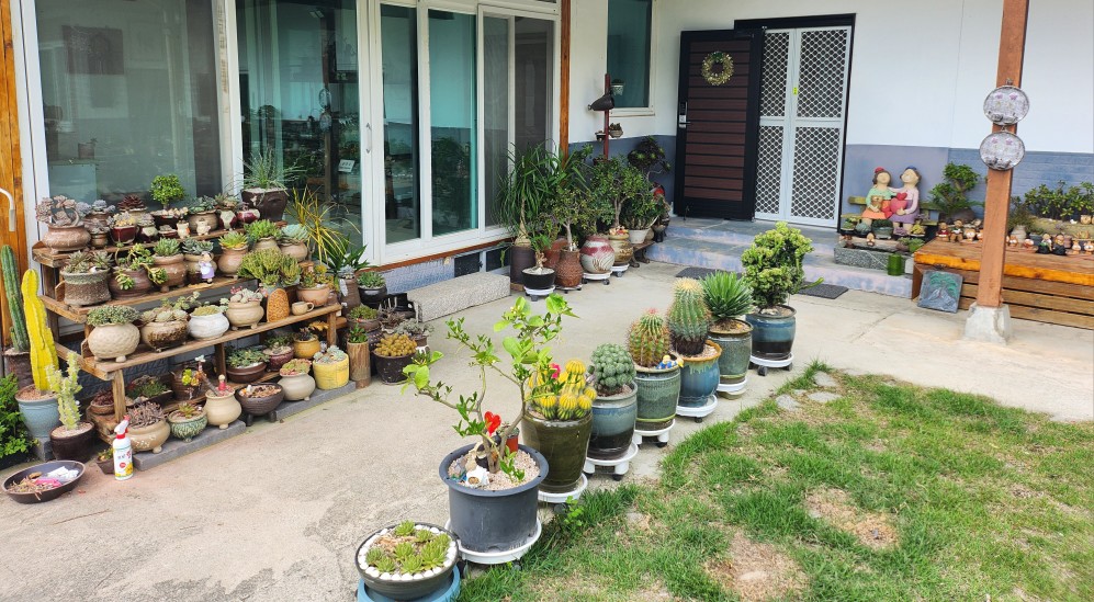 수목담