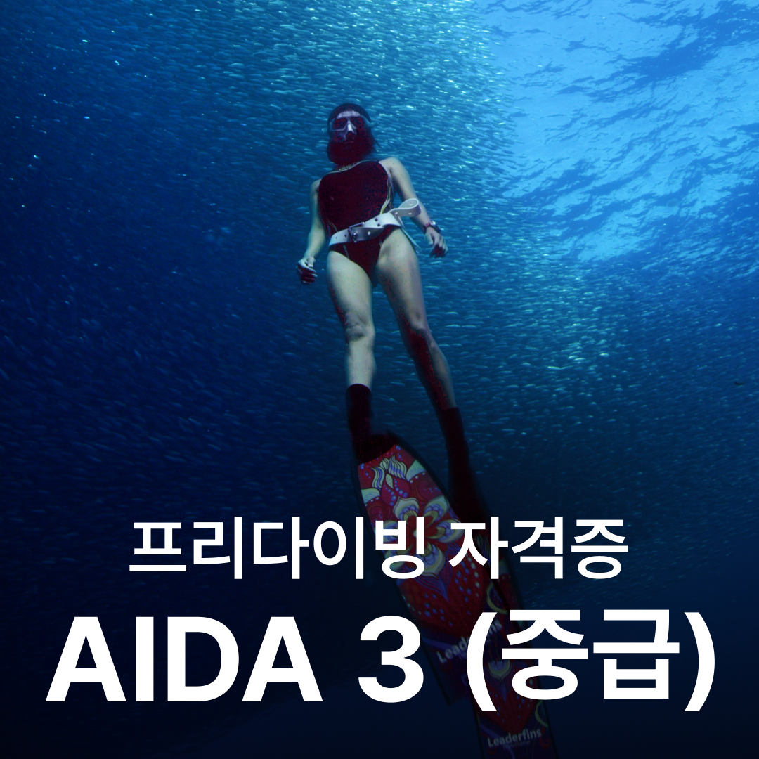 난바다 프리다이빙