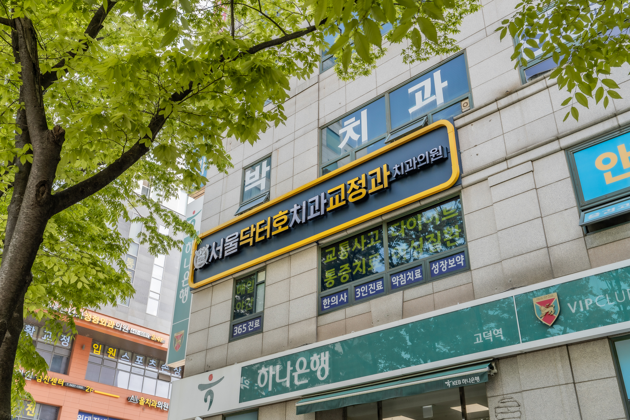 서울닥터호치과교정과치과의원