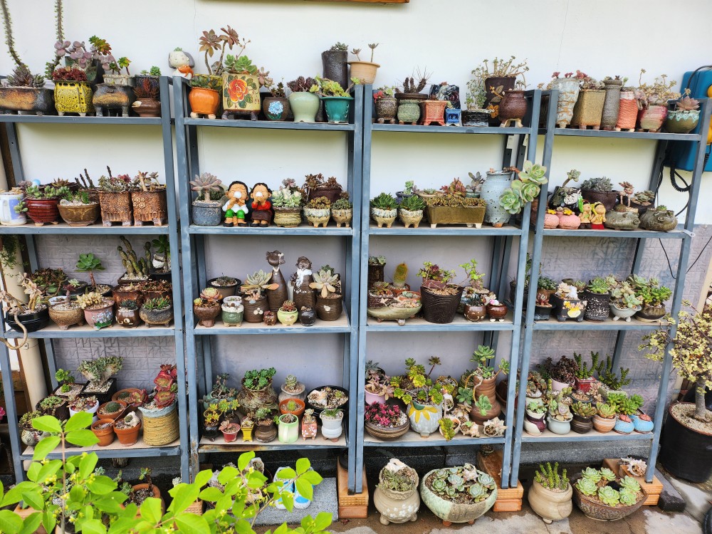수목담 photo 10