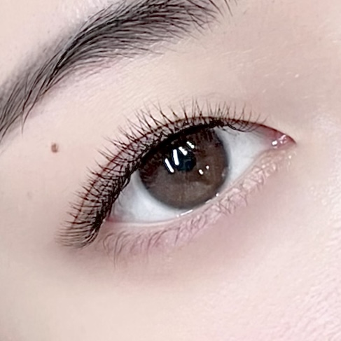 모니드 대표 이미지