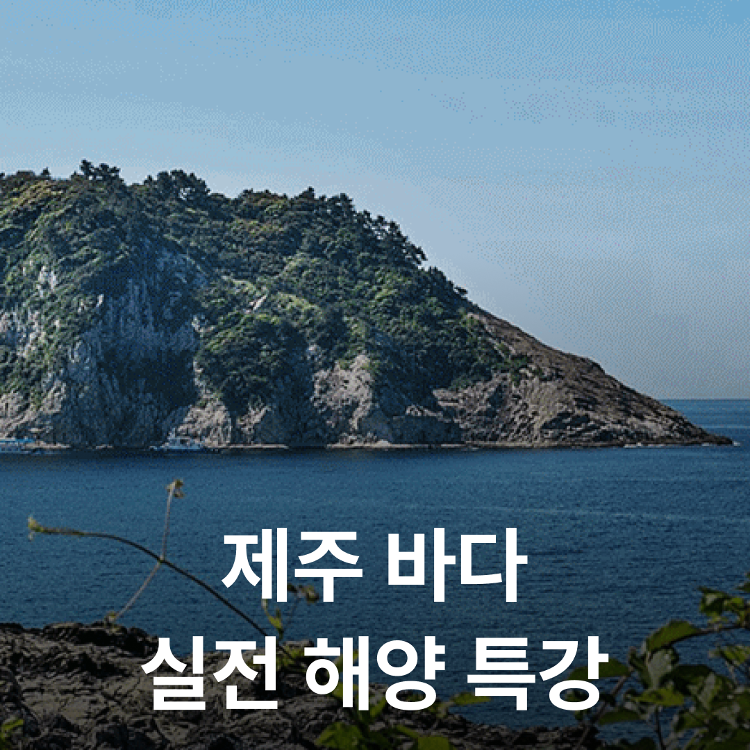난바다 프리다이빙