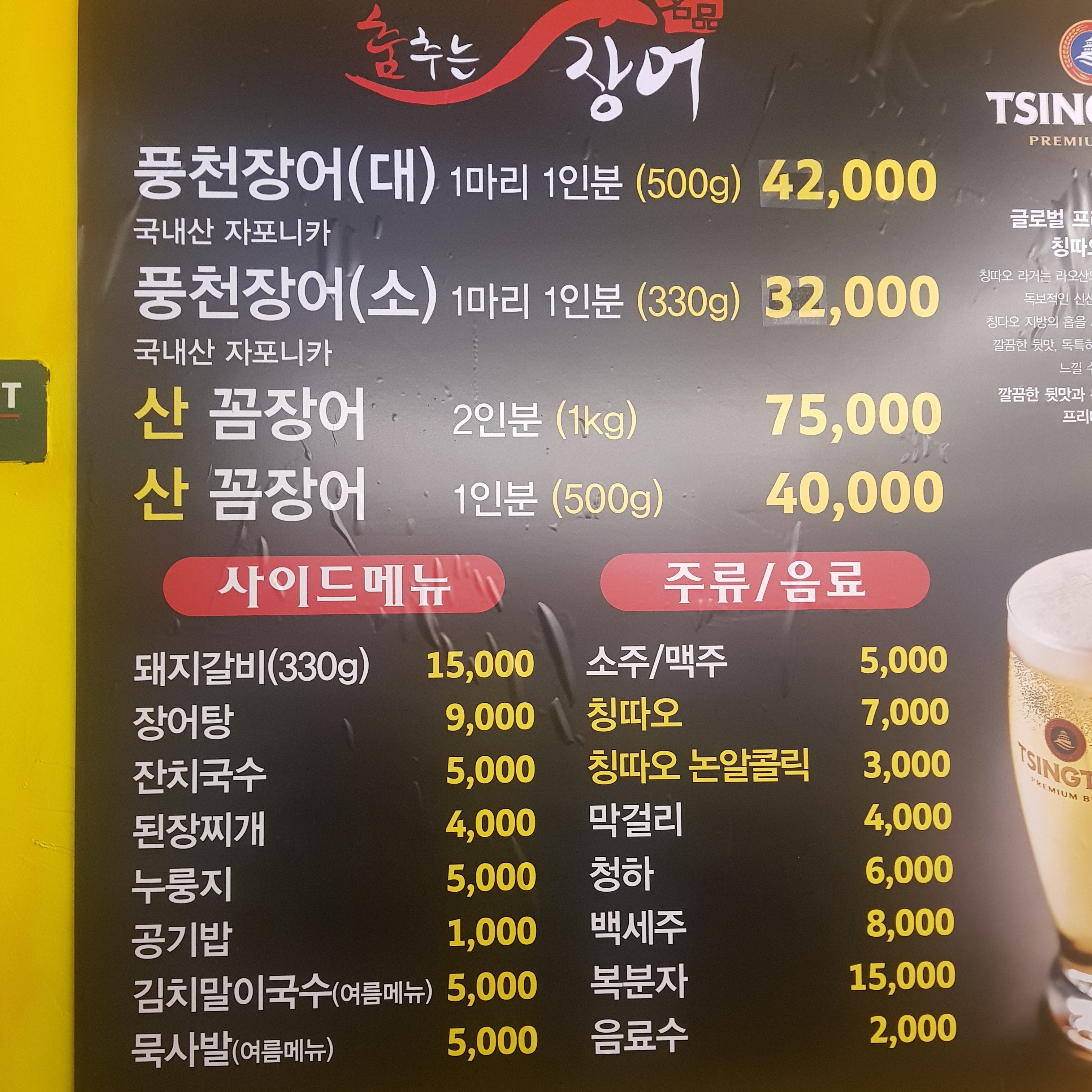 춤추는장어