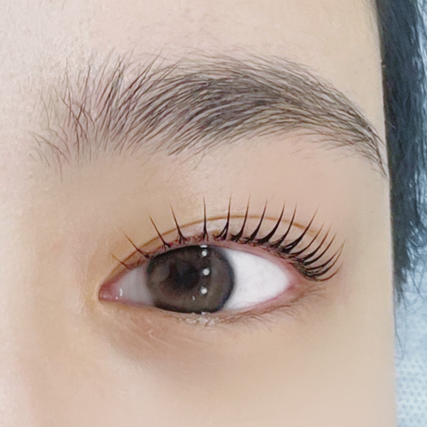 아이홀릭