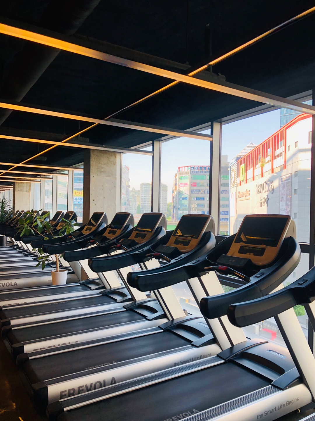 아리스 휘트니스 논현 본점 대표 이미지