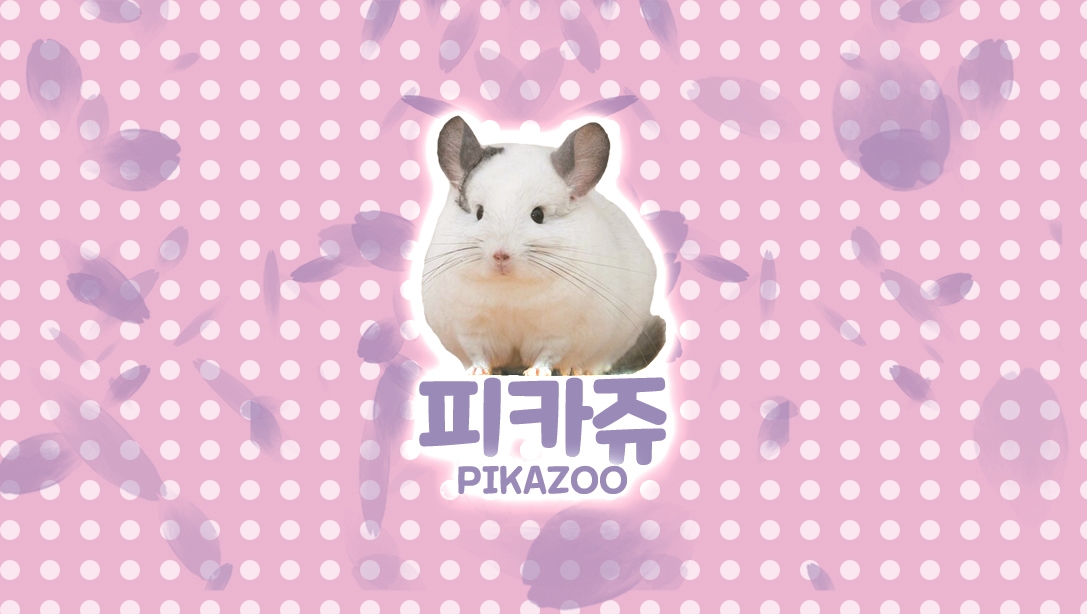 피카쥬