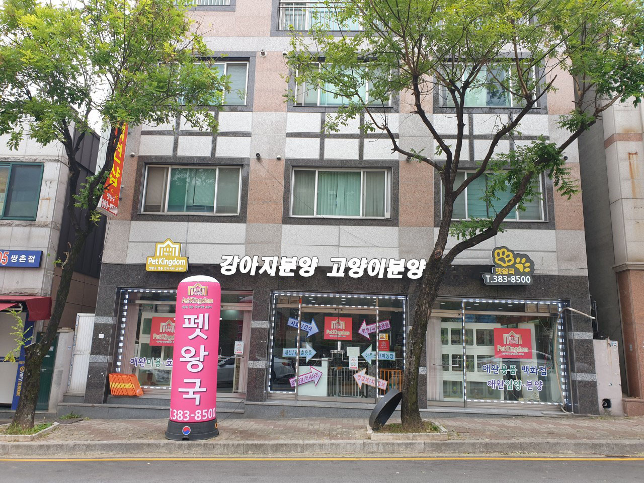 광주강아지분양 고양이분양 펫왕국