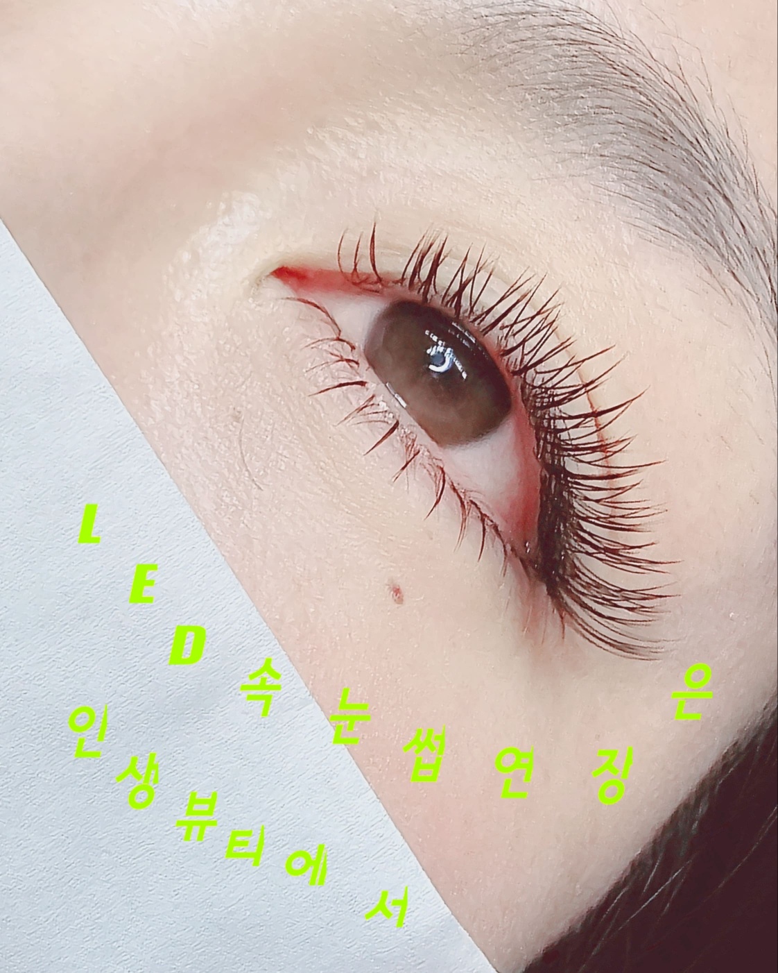 인생뷰티 눈썹&속눈썹