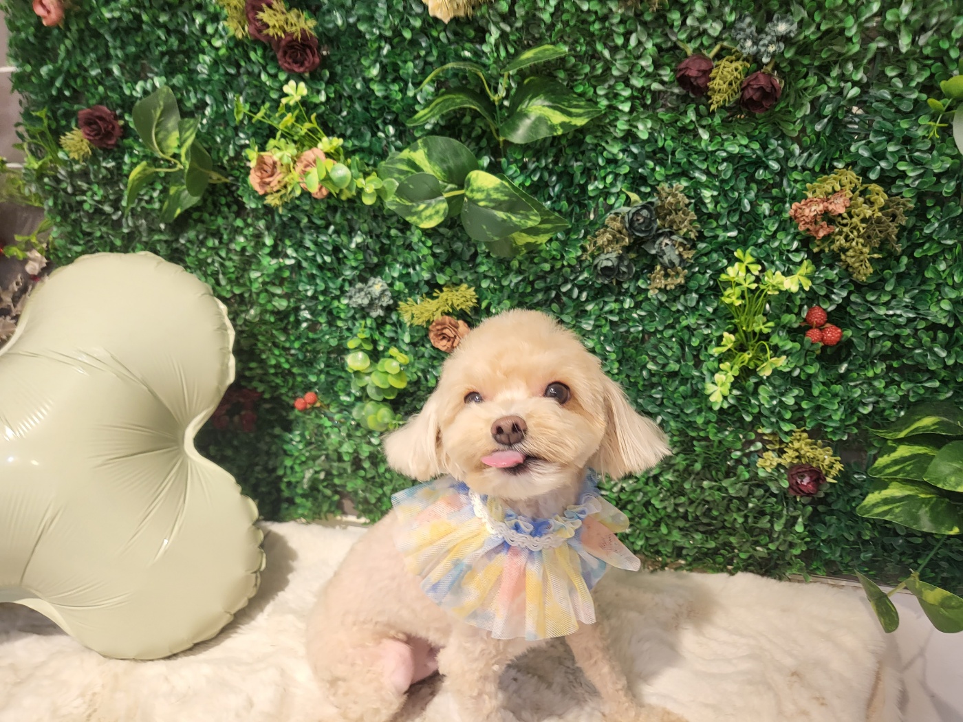 단짝 대표 이미지