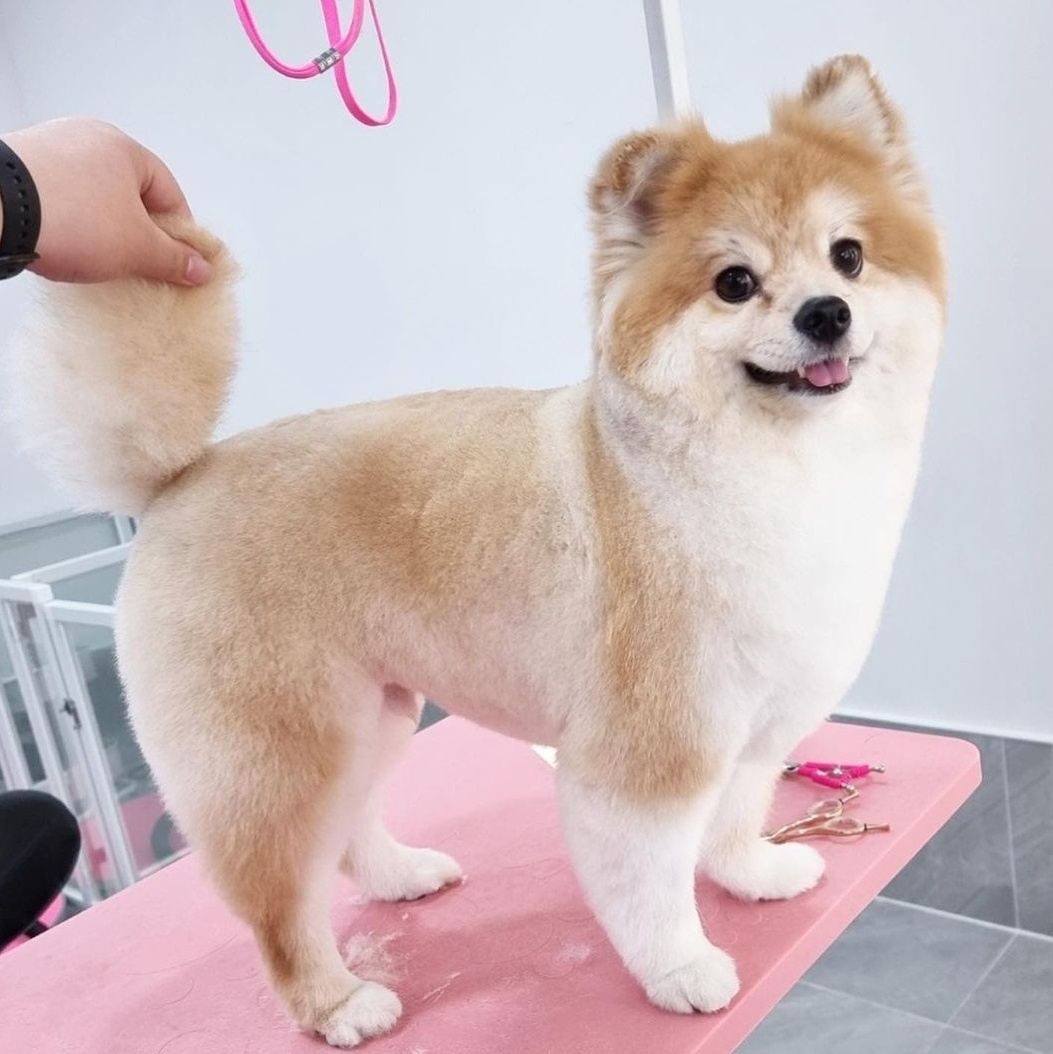 뚜뚜네미용실
