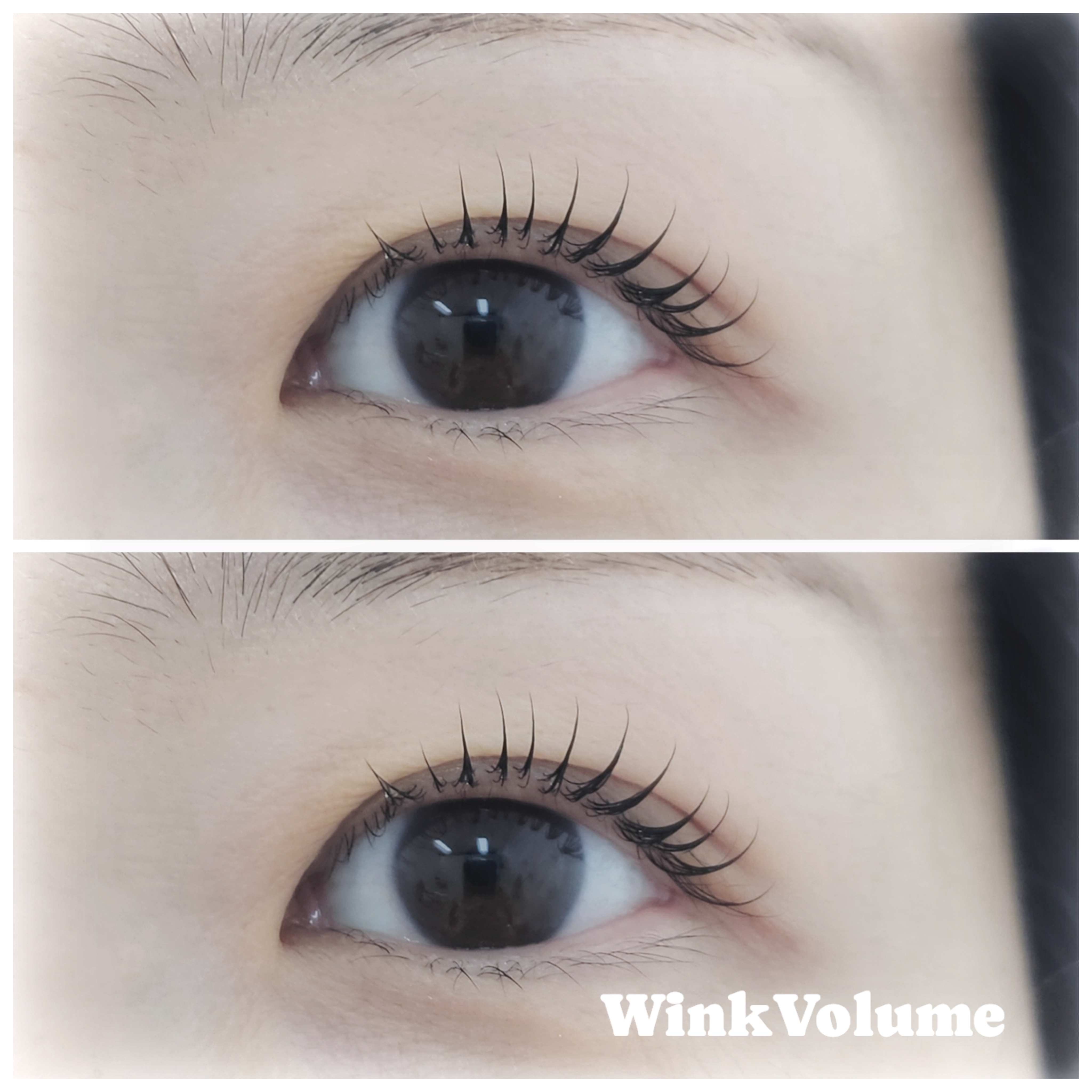 윙크볼륨 대표 이미지