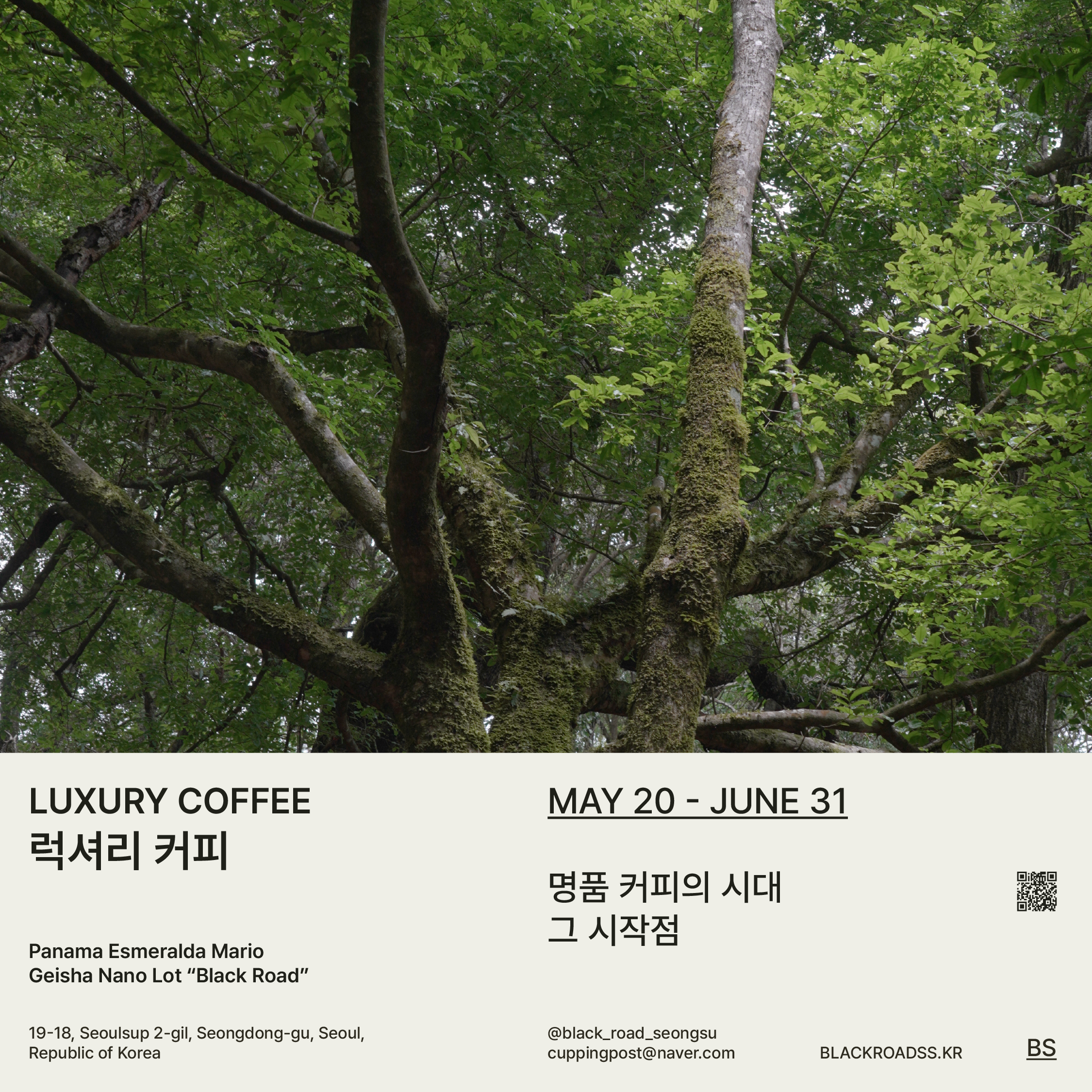 블랙로드커피 성수