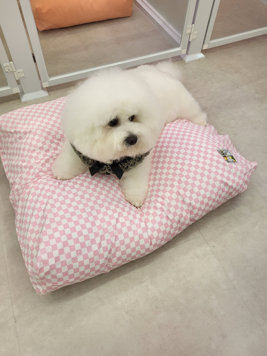 코코살롱 이미지