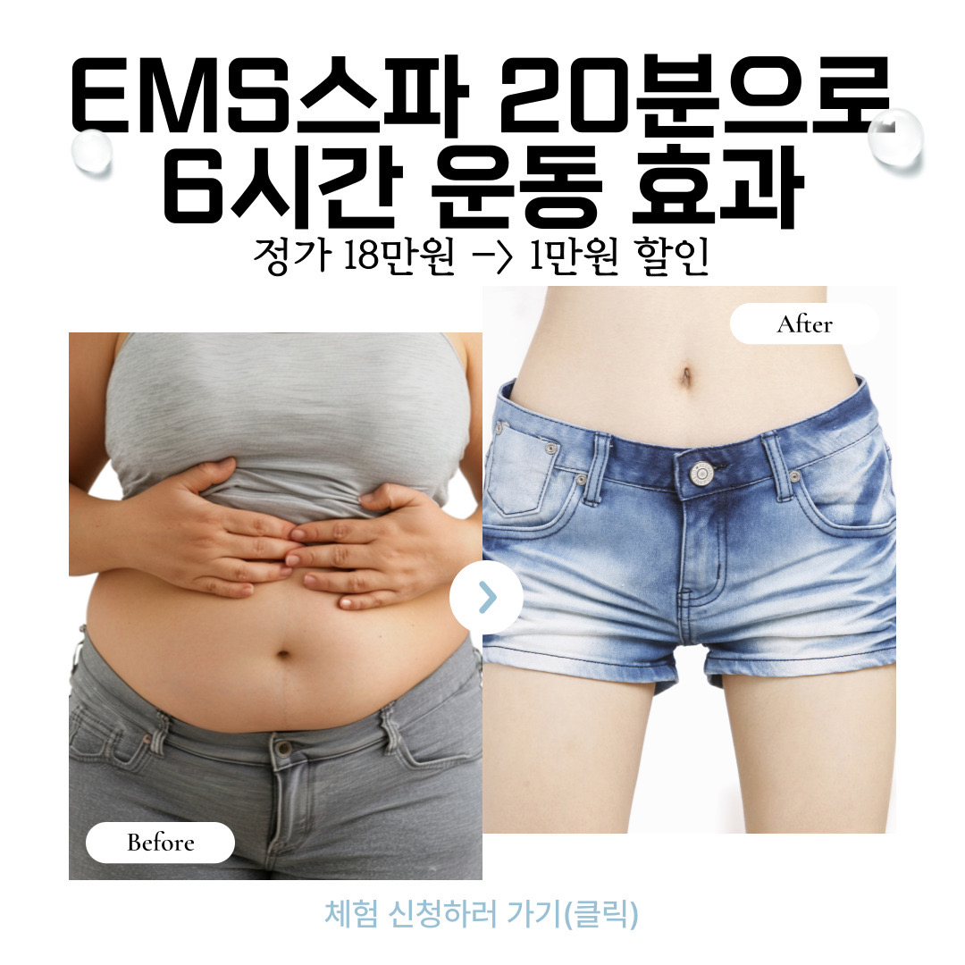 더슬림바디라인
