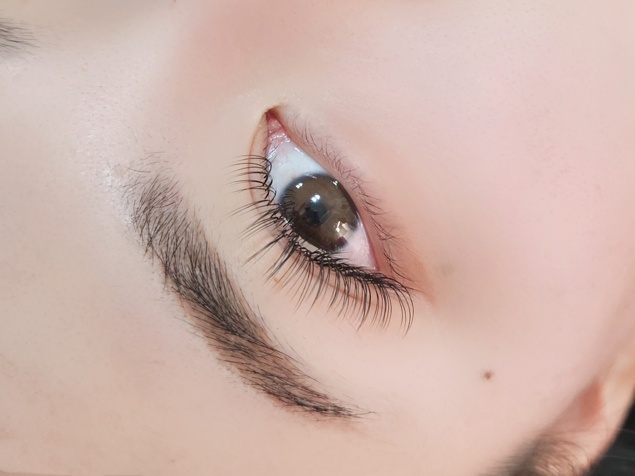 래쉬코드 대표 이미지