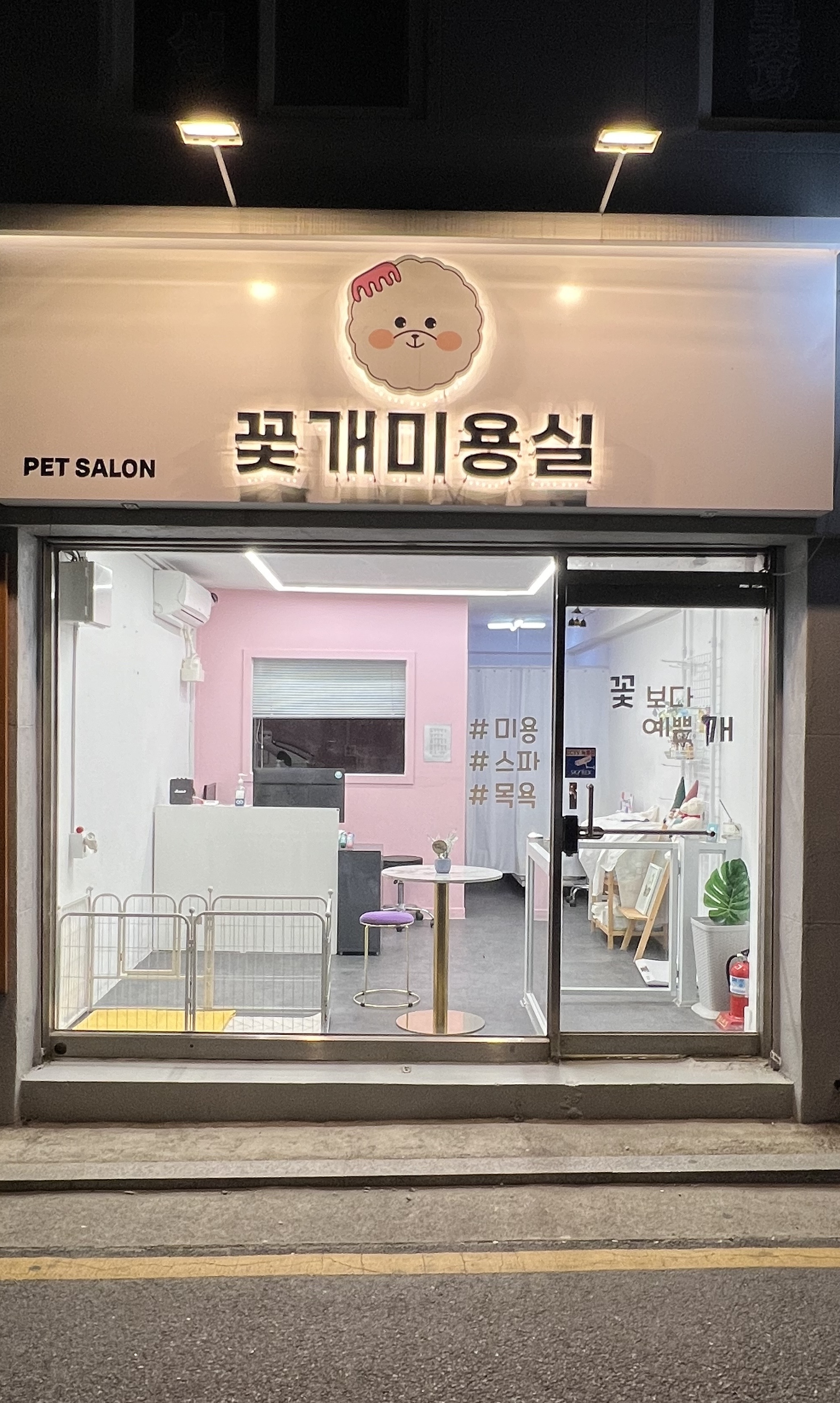 애견미용 꽃개미용실