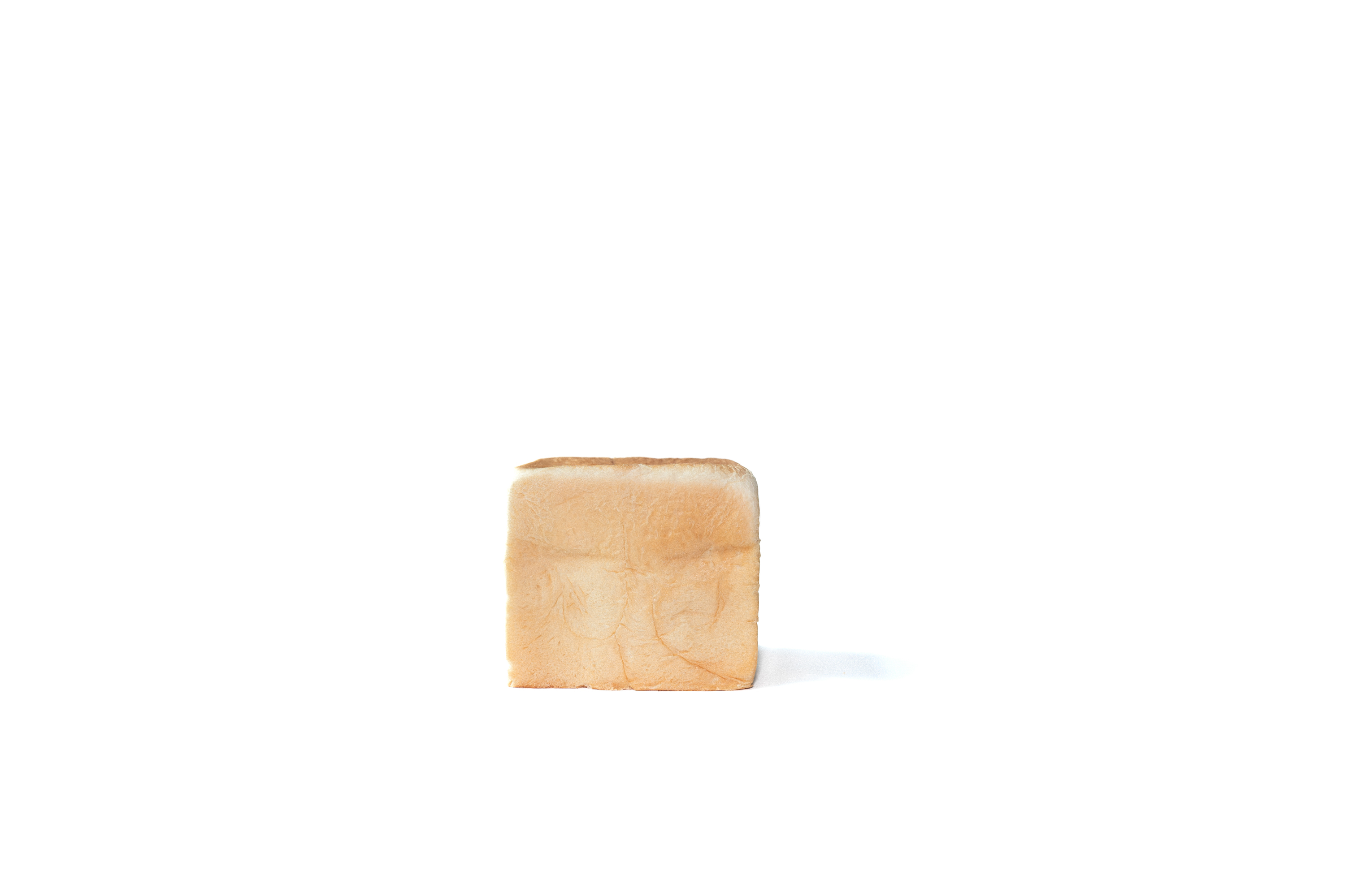 프리미엄 생식빵 HALF SIZE