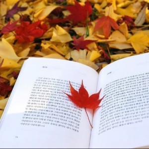 NaVET | 논술학원 광주 남구 논술학원 입시학원 논술전형 수리논술 국어학원 생각정원 독서논술학원