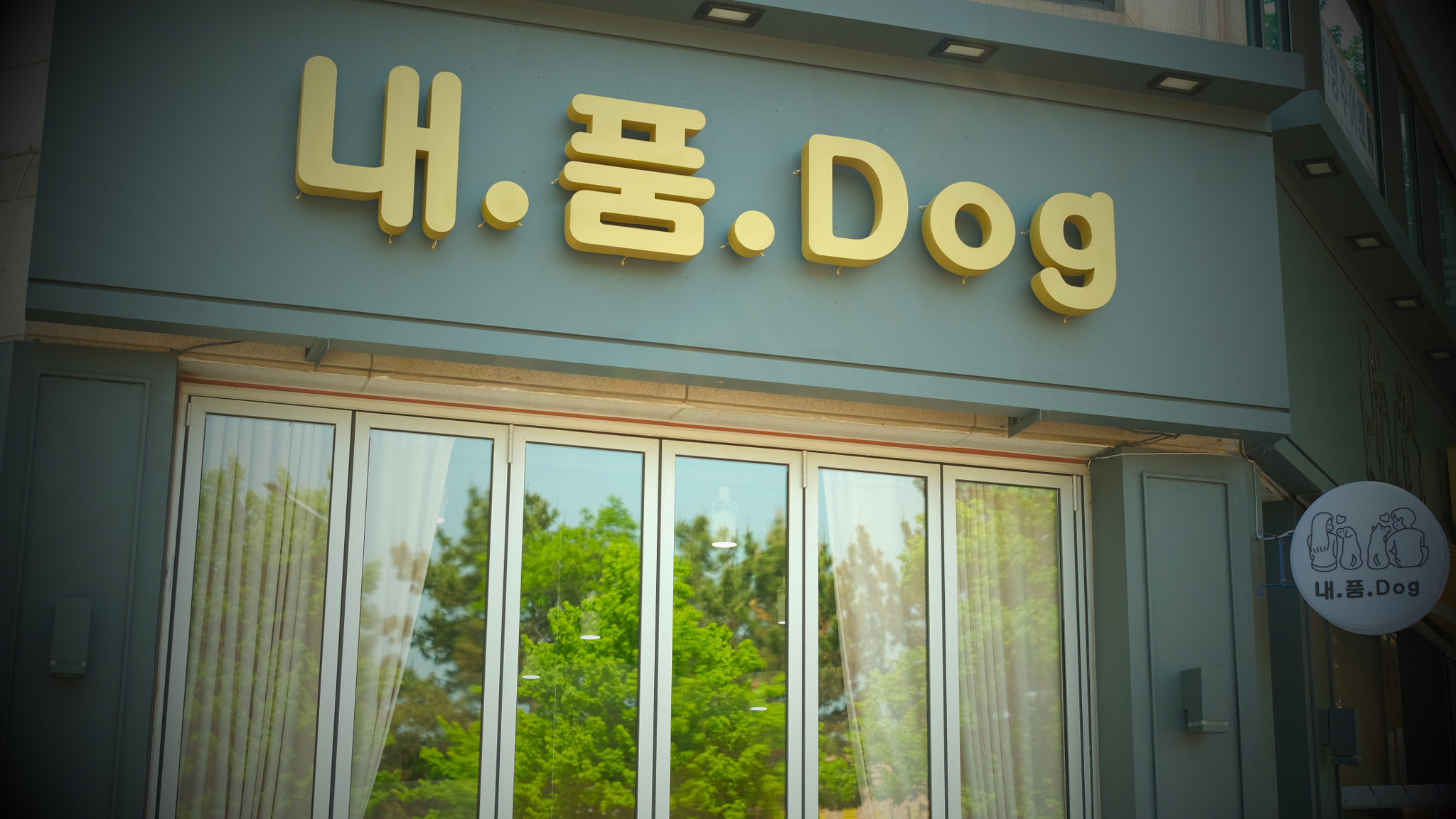 내가품은Dog