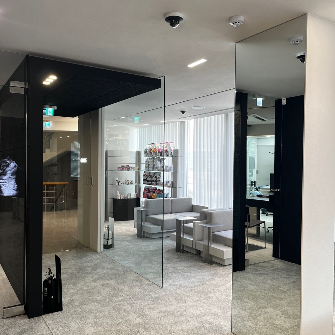 그레이스 고양이 심장&치과병원 대표 이미지