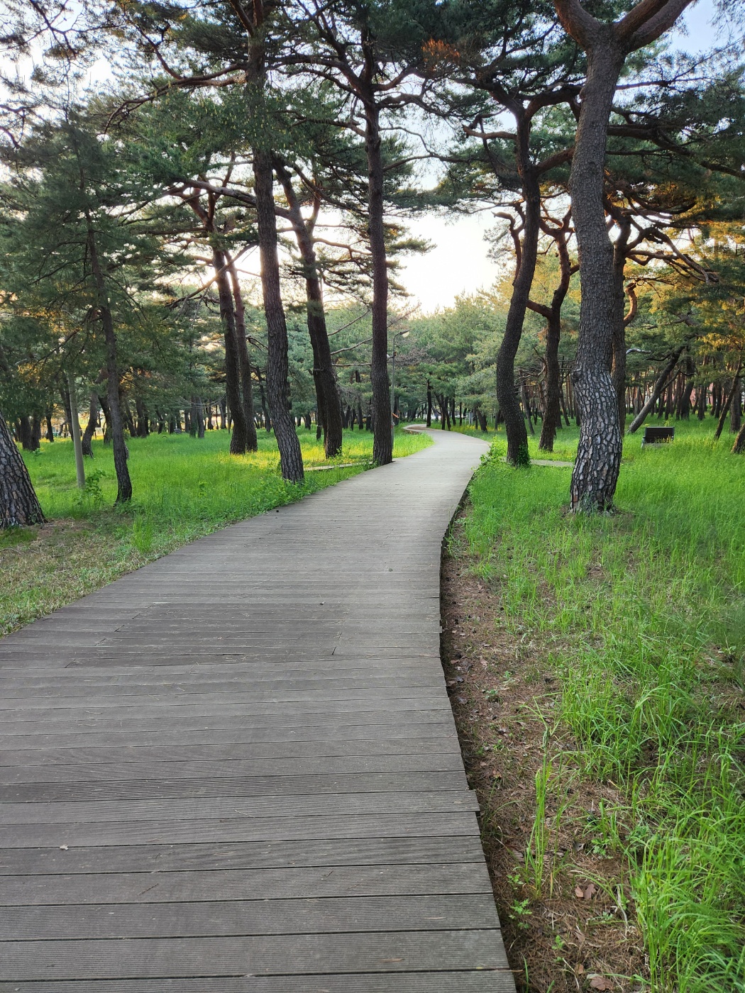 송림민박