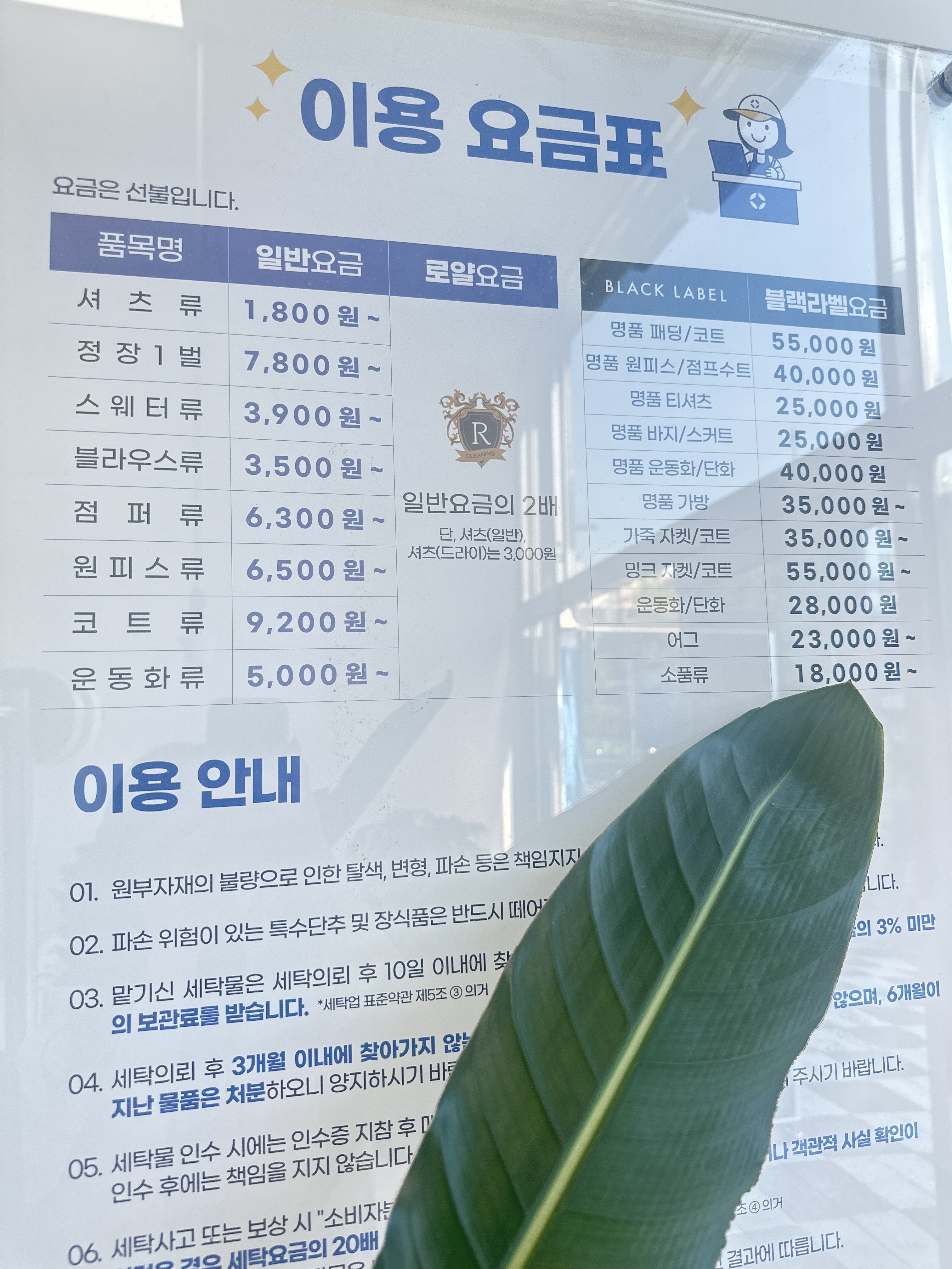 크린토피아 대전용계힐스테이트점