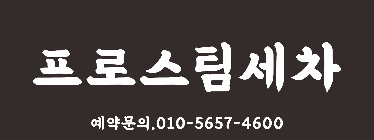 프로스팀세차