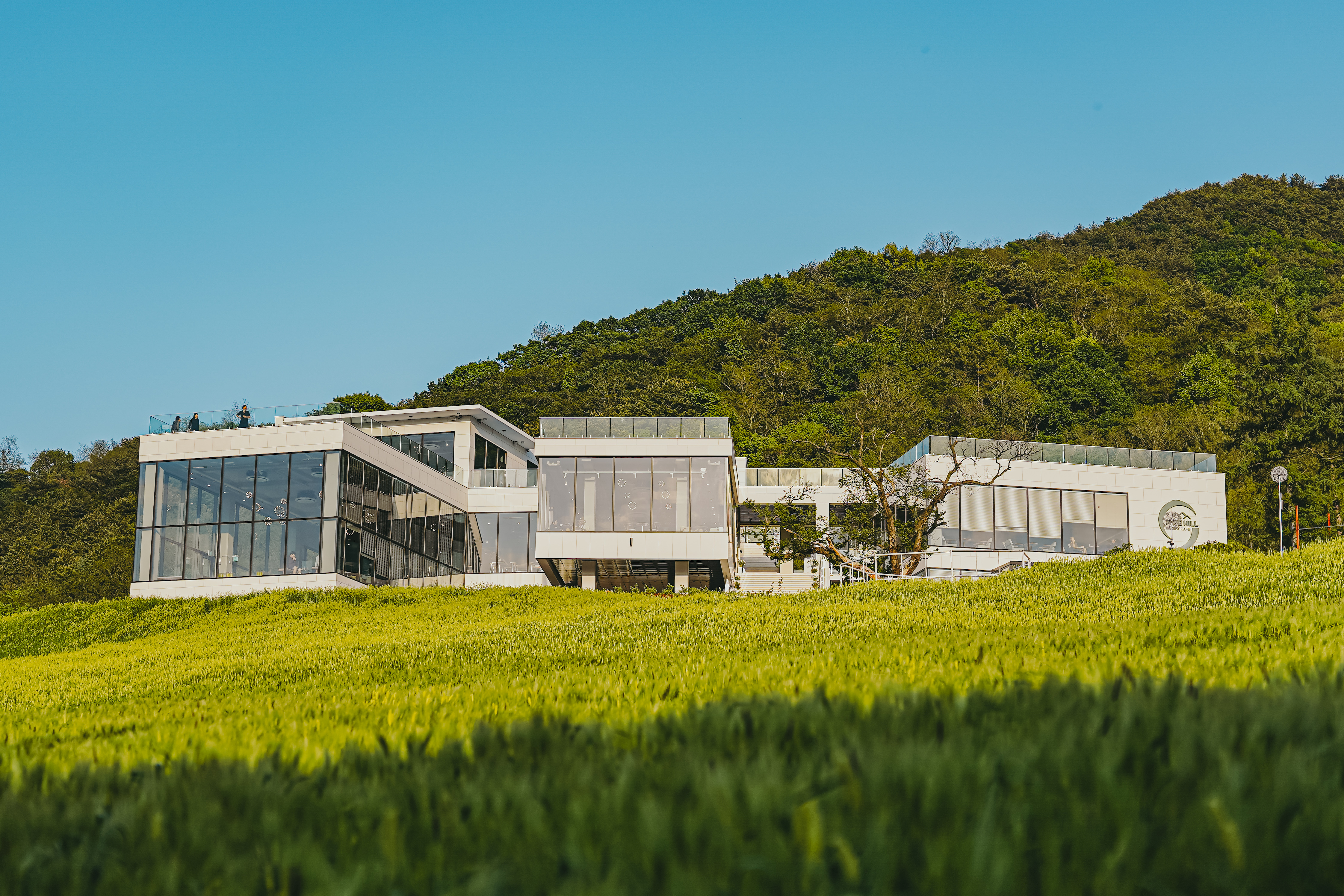 나인힐 베이커리 카페