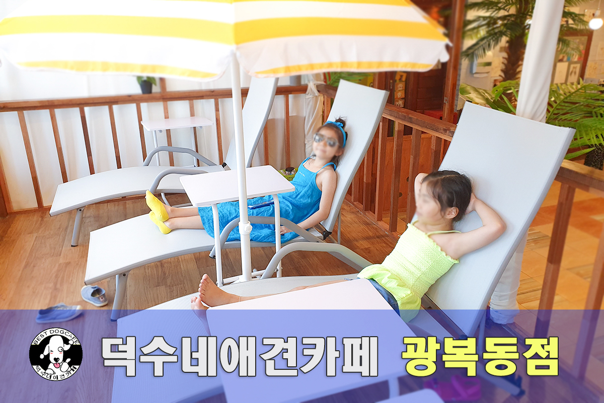 덕수네애견카페 광복로점 대표 이미지