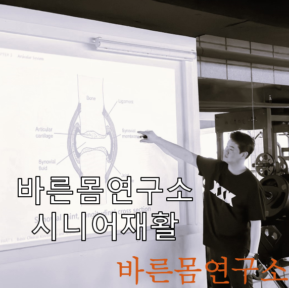 바른몸연구소