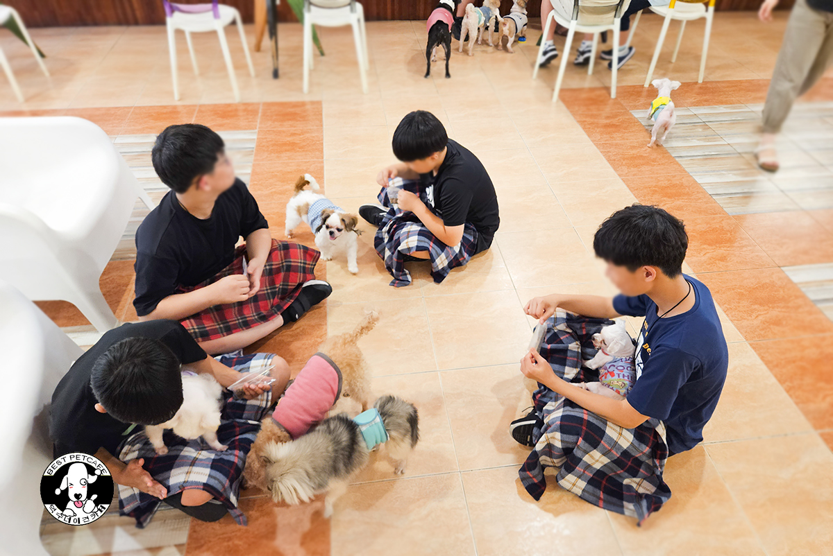 덕수네애견카페 광복로점 대표 이미지