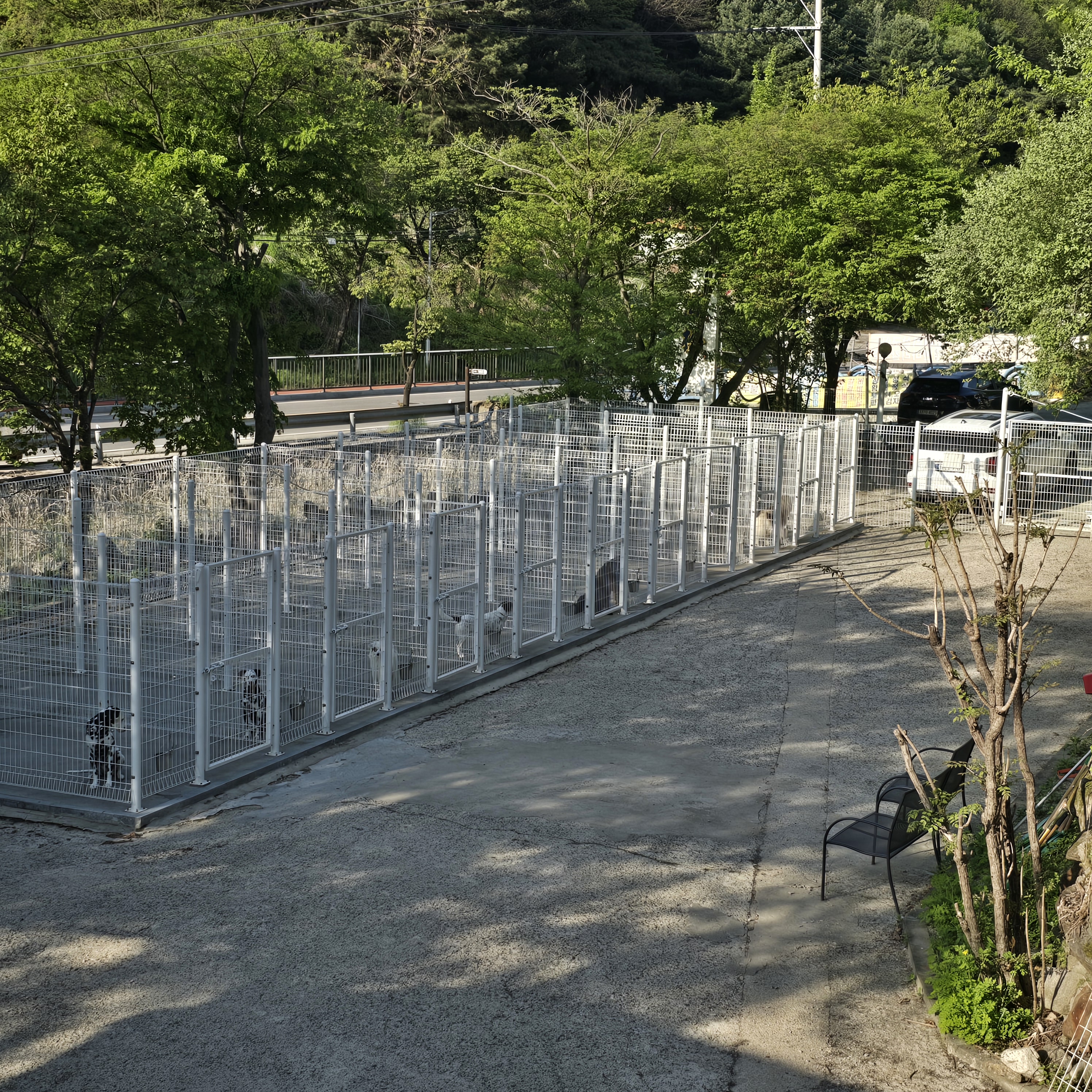 지니독 대표 이미지