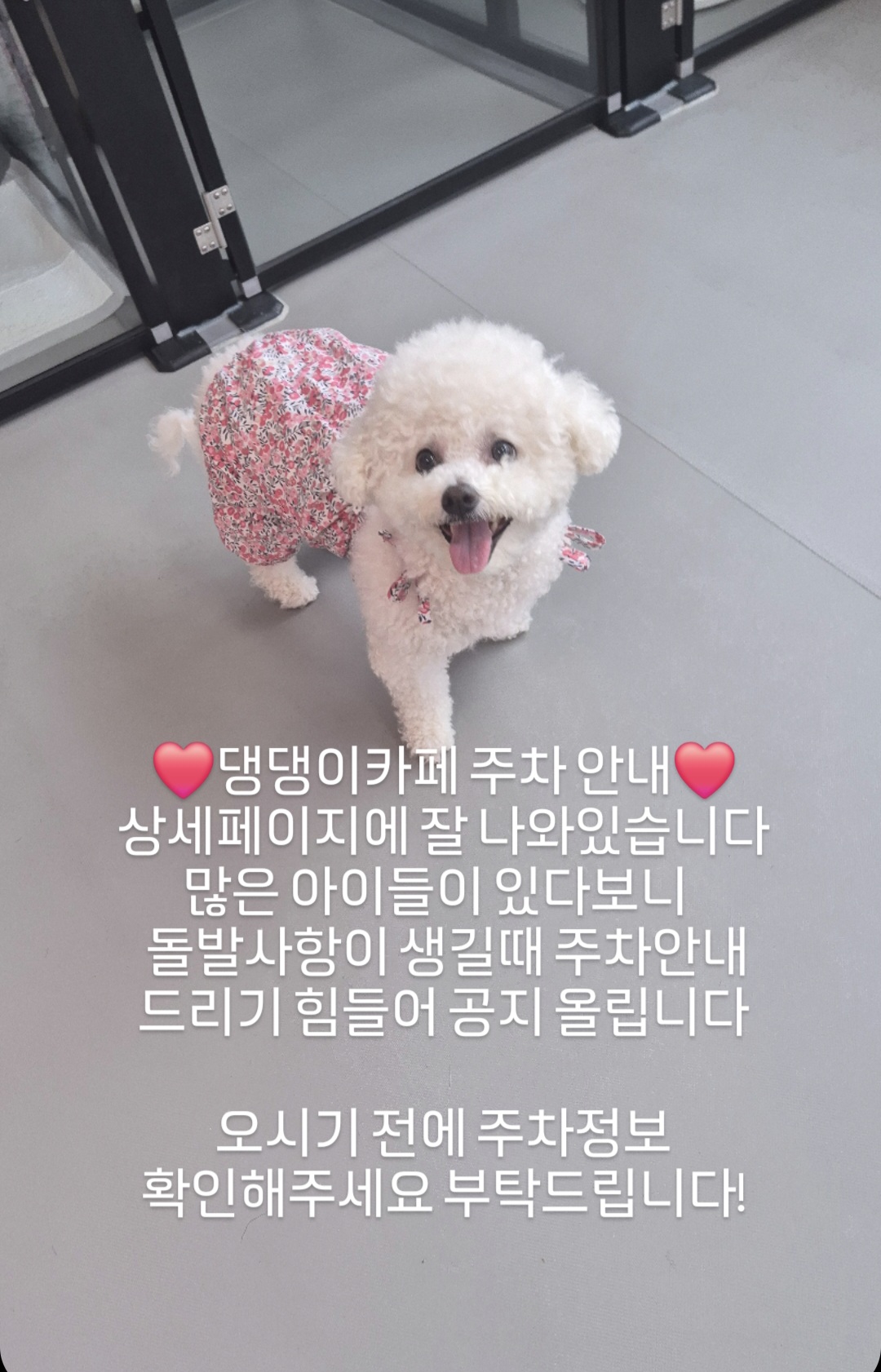 댕댕이카페 대표 이미지