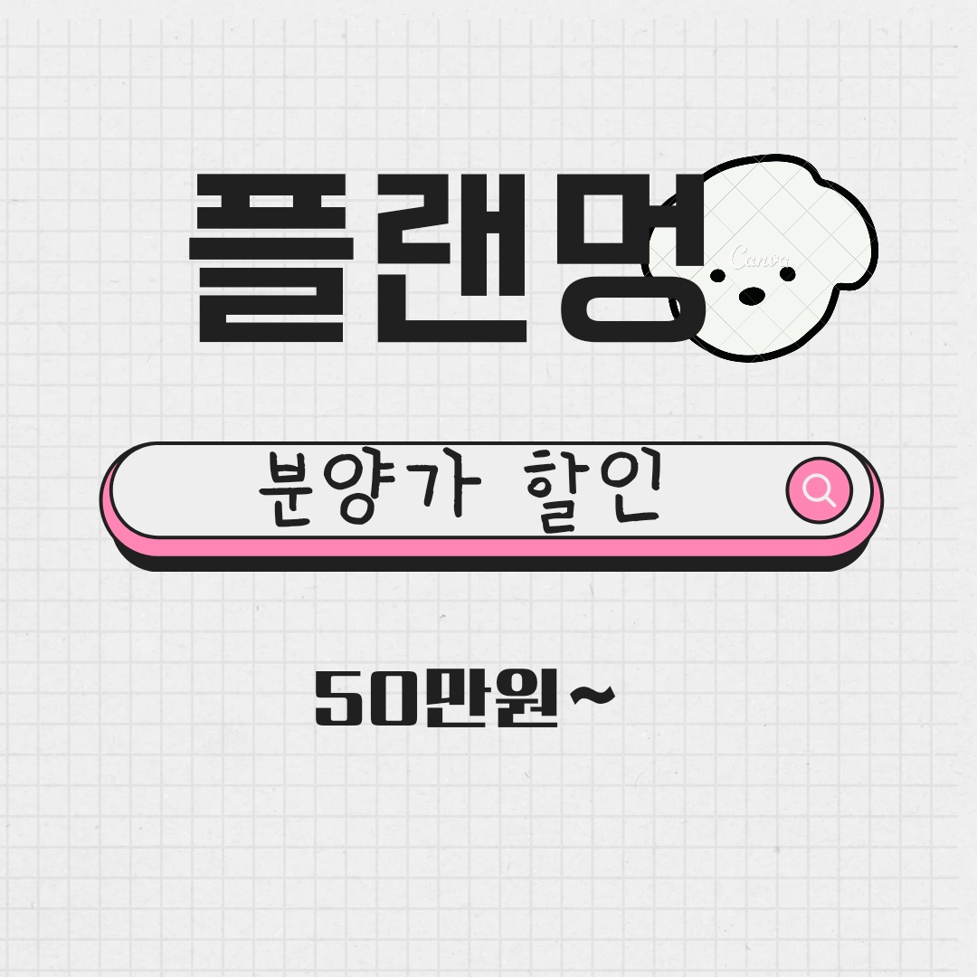 천안 강아지분양 플랜멍 천안점