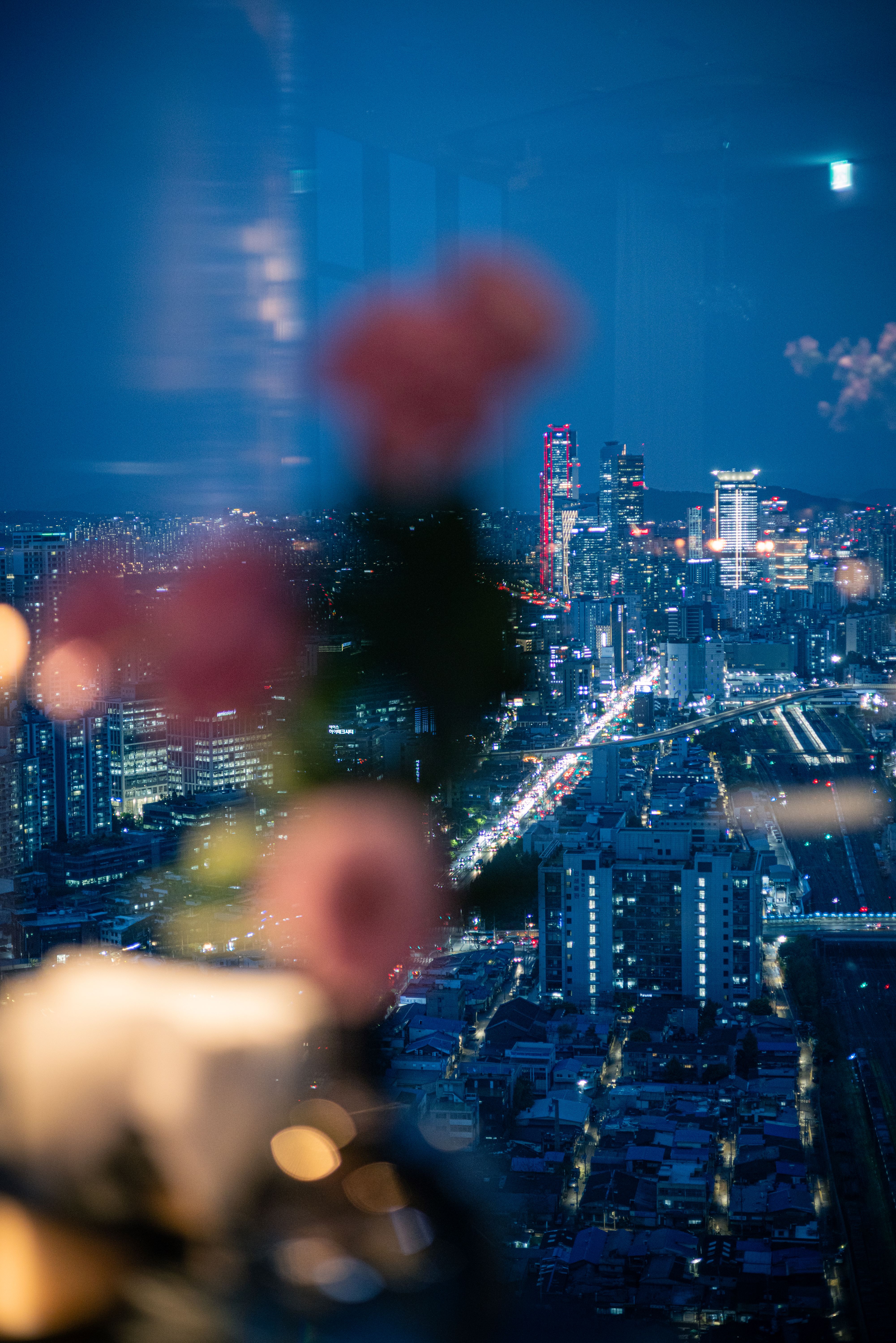 세인트41