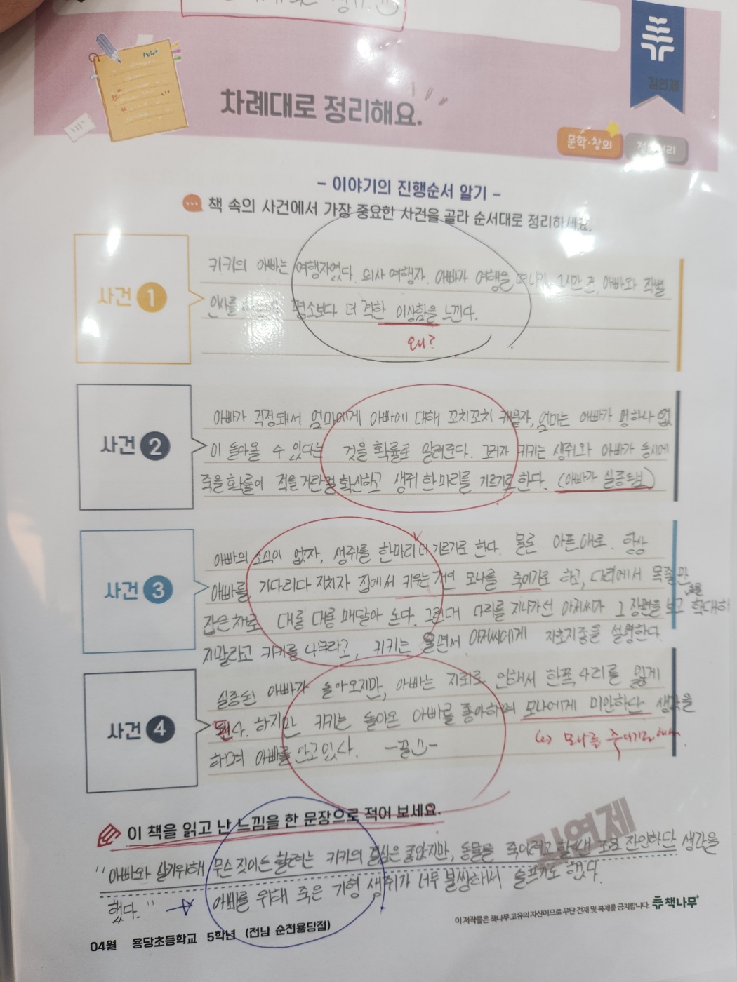 책나무 전남순천용당점