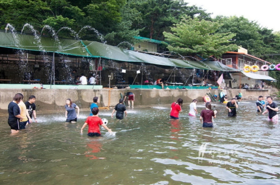 꾀꼬리산장 힐링펜션 & 계곡 힐링식당
